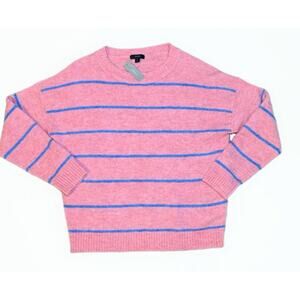 J Crew Alpaca Crewneck Sweater in Stripe Pink Blue SMALL Mereno Wool Gorpcore